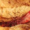"Red Dragon" Drinking Horn