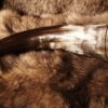 "Fishbone" Drinking Horn