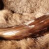 "Fishbone" Drinking Horn