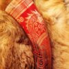 "Red Dragon" Drinking Horn