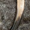 Slavic 1 Drinking Horn
