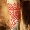 Slavic 2 Drinking Horn