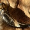"Runelore" Drinking Horn